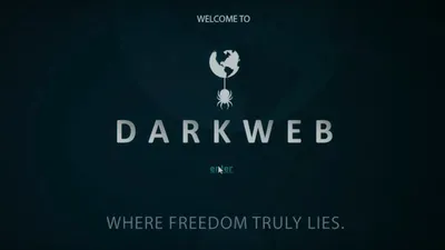 Bilgisayar Korsanı izle